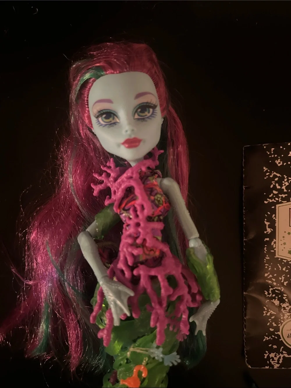 Monster High G1 Posea Reef w/ book